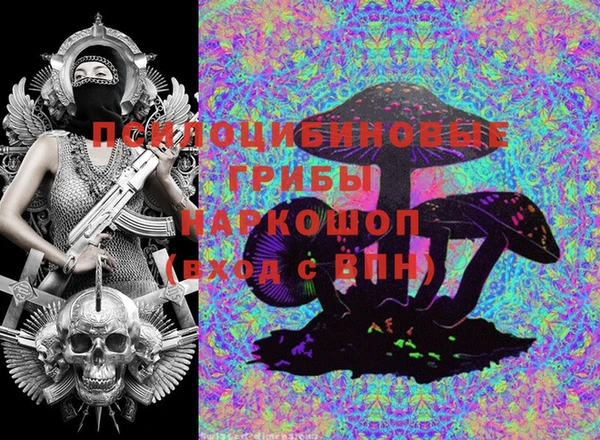 бошки Балахна