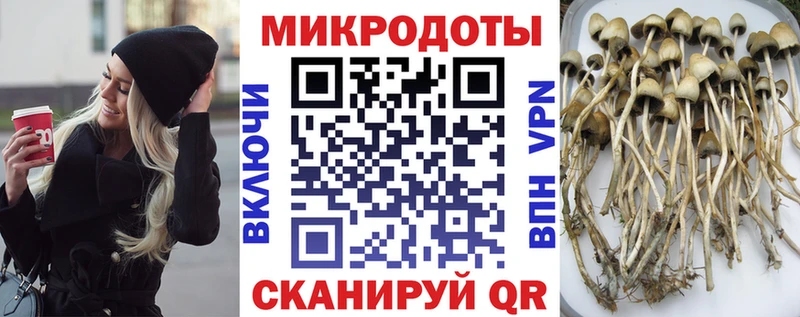 Псилоцибиновые грибы прущие грибы  Голицыно 